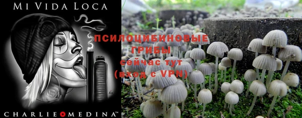 шишки Тольятти