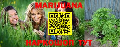прущие грибы Апшеронск