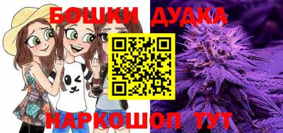 прущие грибы Апшеронск