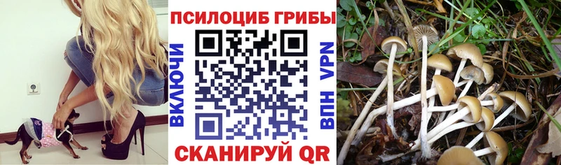 Галлюциногенные грибы Magic Shrooms  Аша 