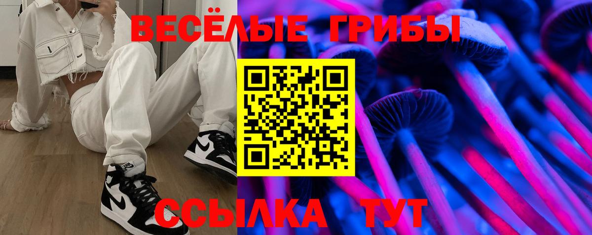 Псилоцибиновые грибы Psilocybe Аша